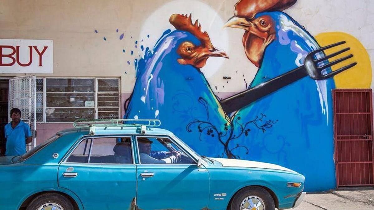 (Facebook/ Falko One)