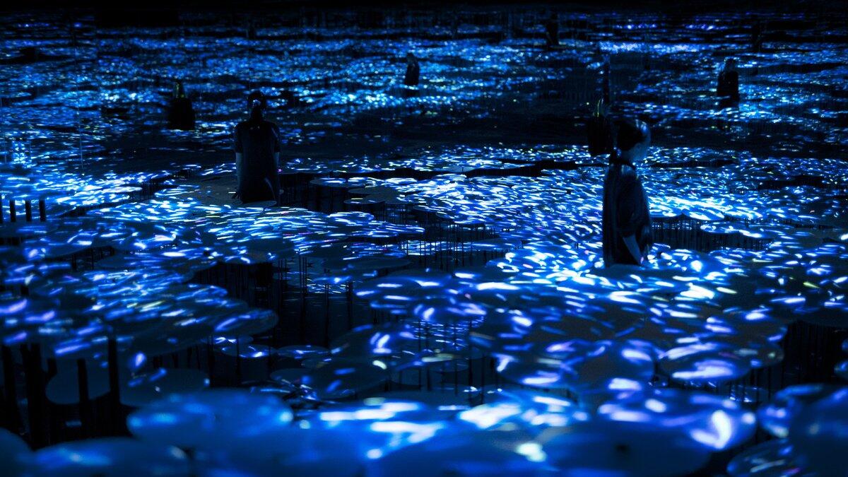 Mori Digital Art Museum in Tokyo, Japan. (Twitter)