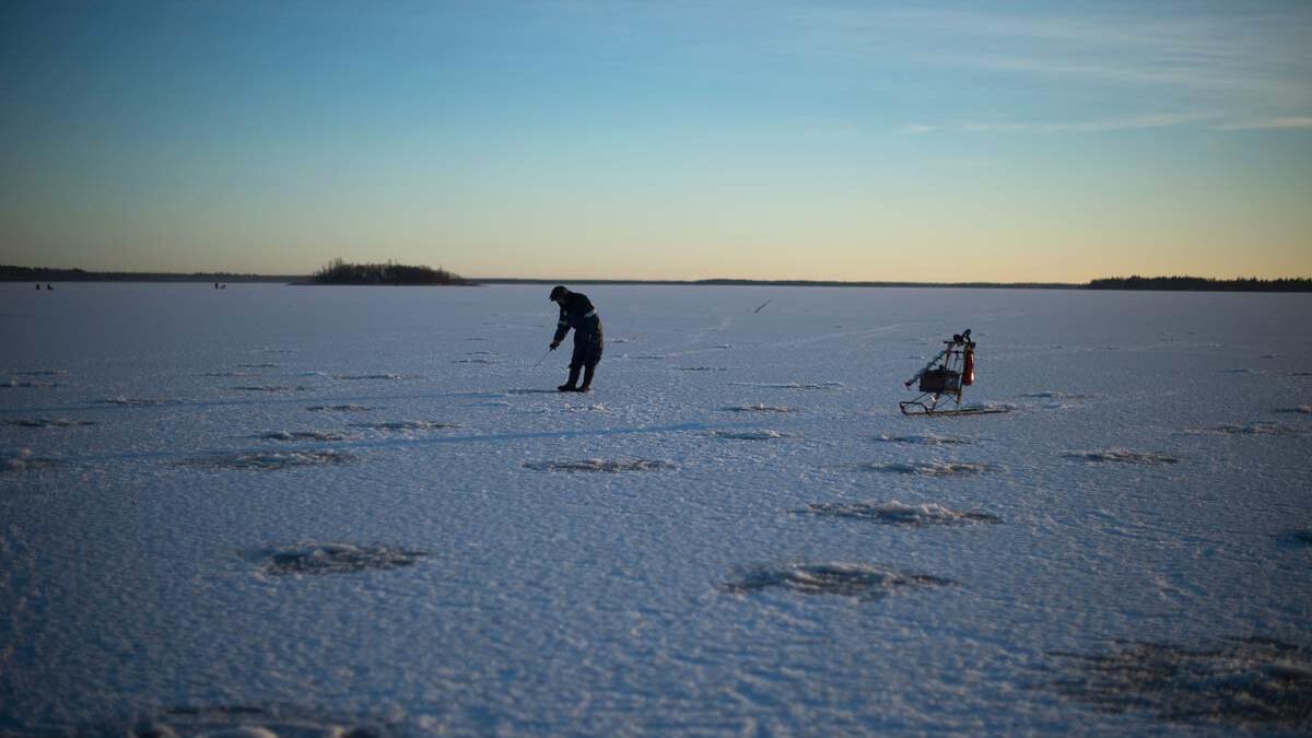 An aerial view of fishing holes bored into the frozen sea on the Gulf of Bothnia, near Vaasa, Western Finland on December 28, 2018, where winter daylight last for some four hours. 
Olivier MORIN / AFP