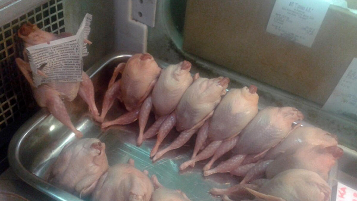 uncooked chicken