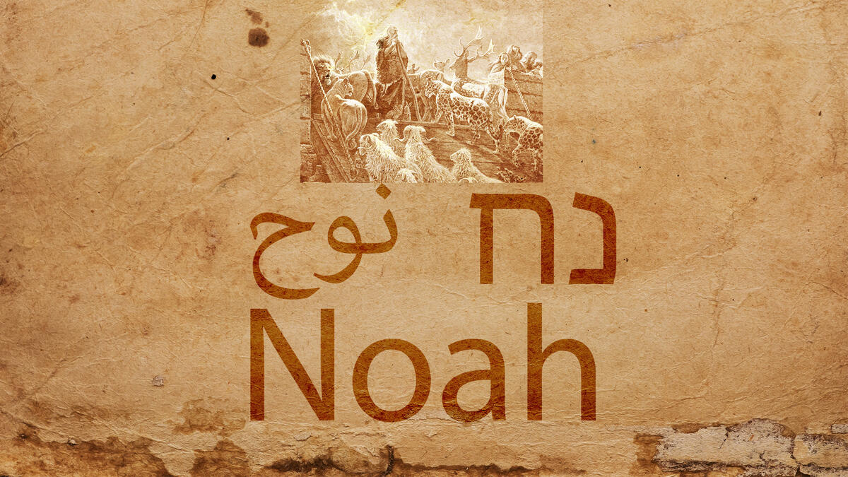 Noah