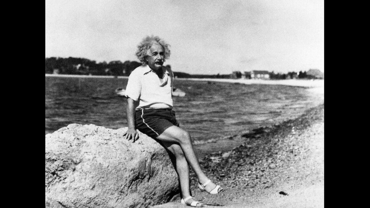 Einstein in shorts on the seaside