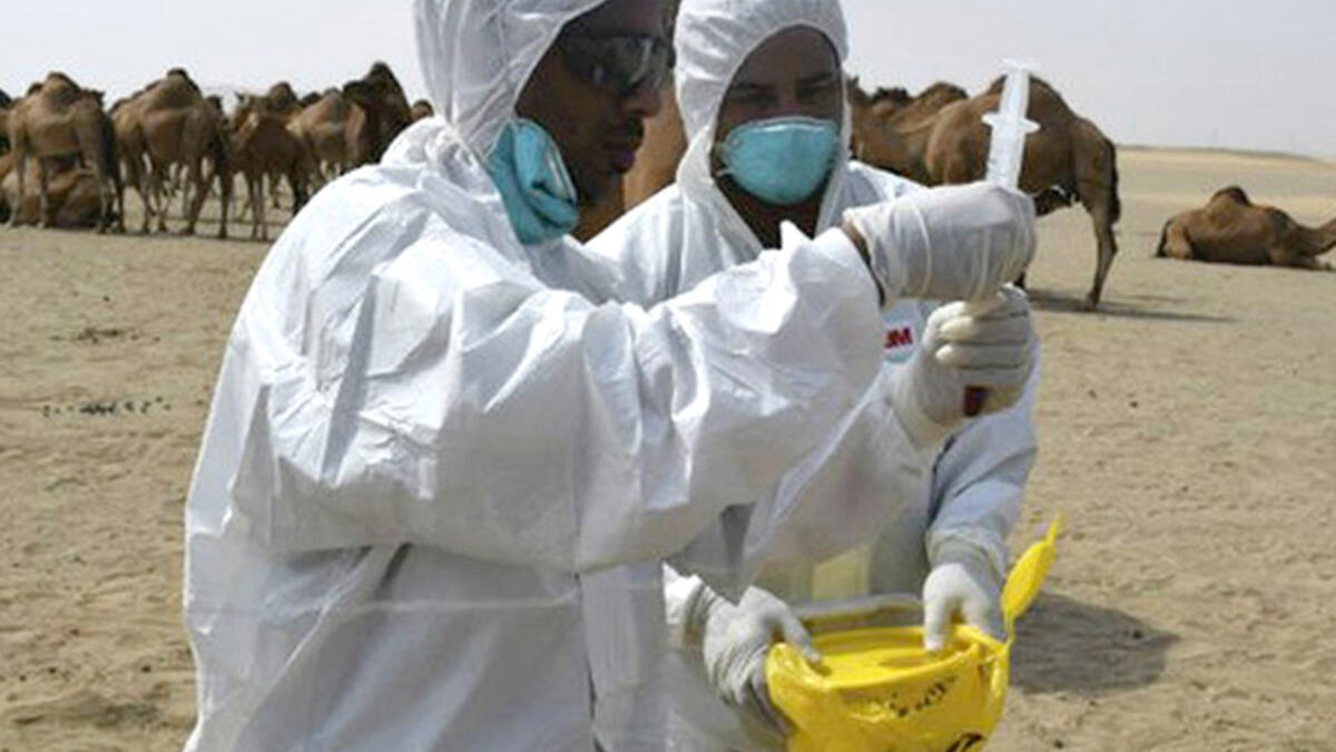 MERS hajj saudi arabia