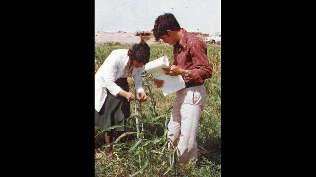 Women farming Iraq