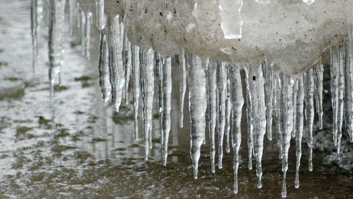 icicles