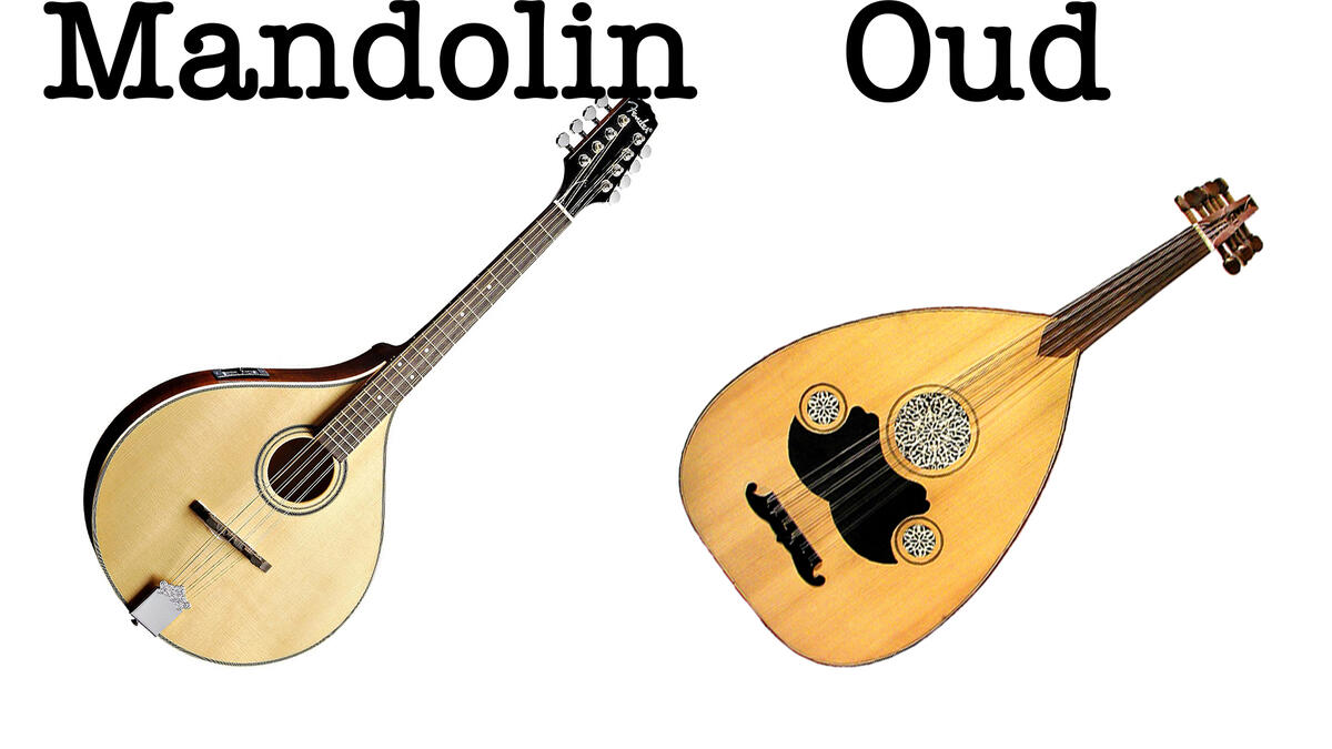 mandolin