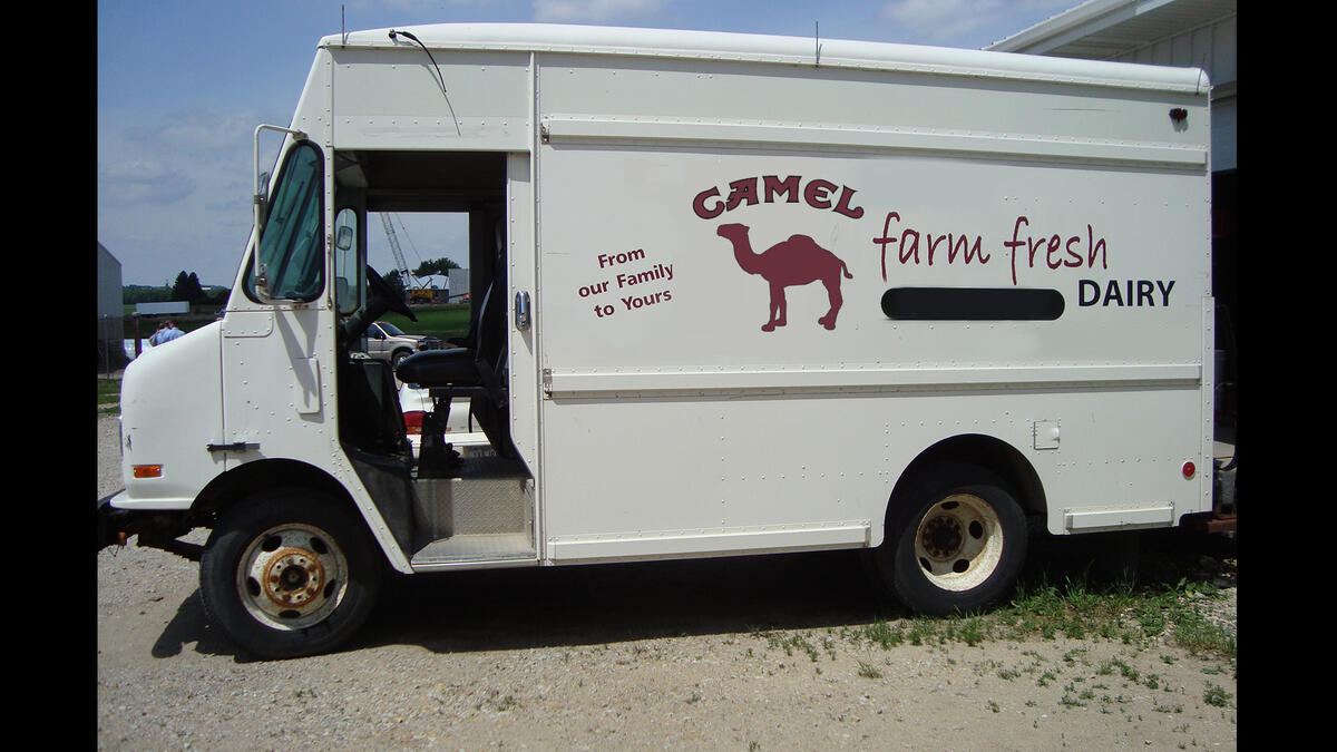 Britain milk float UK camel