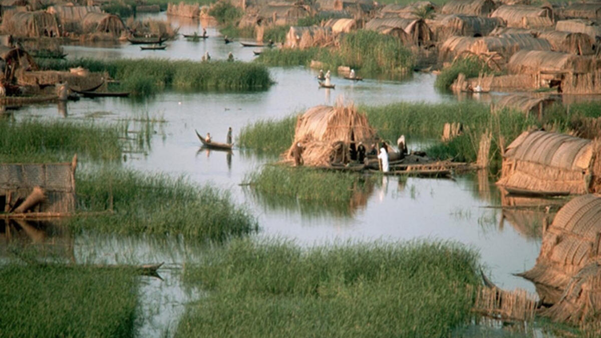 Iraqi southern salt marshes