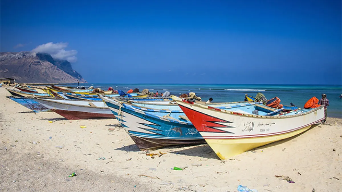 Salmon Fishing in the Yemen