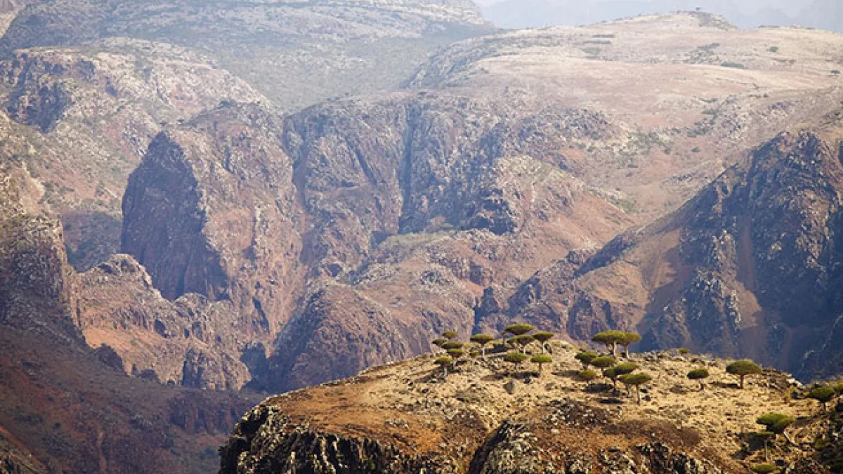 Socotra Island