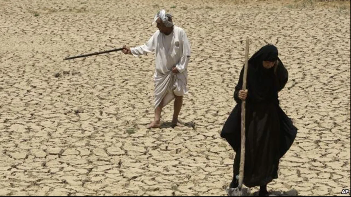 desertification