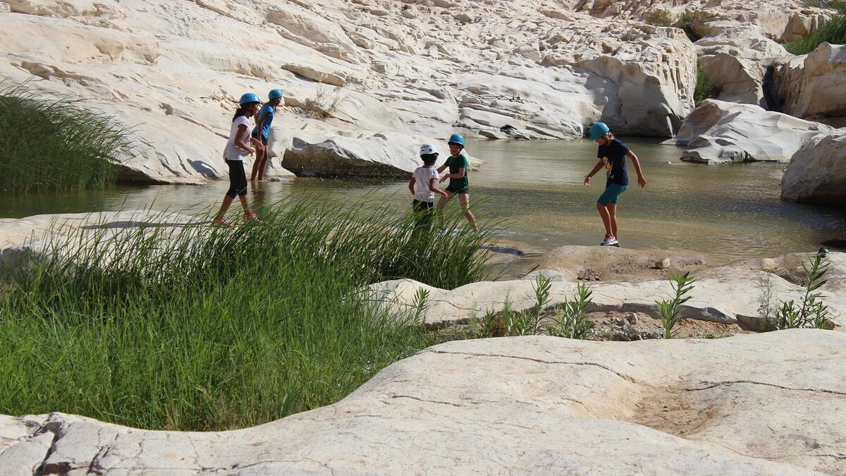 Wadi Al Heba, Amman. (vaytour.com)