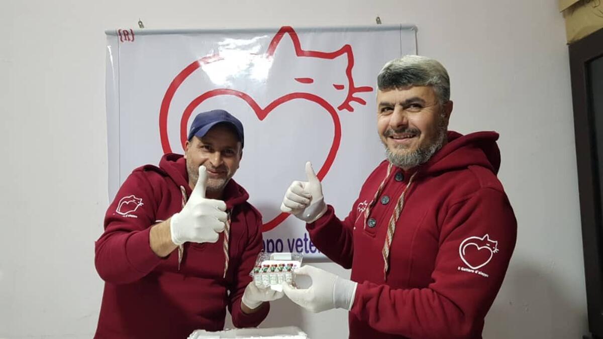 (Twitter/@theAleppoCatman)