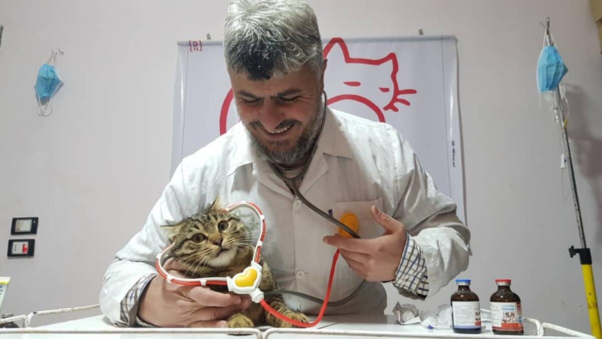 Mohammed Alaa al-Jaleel has been an animal lover and especially cats since his childhood. 
(Twitter/@theAleppoCatman)