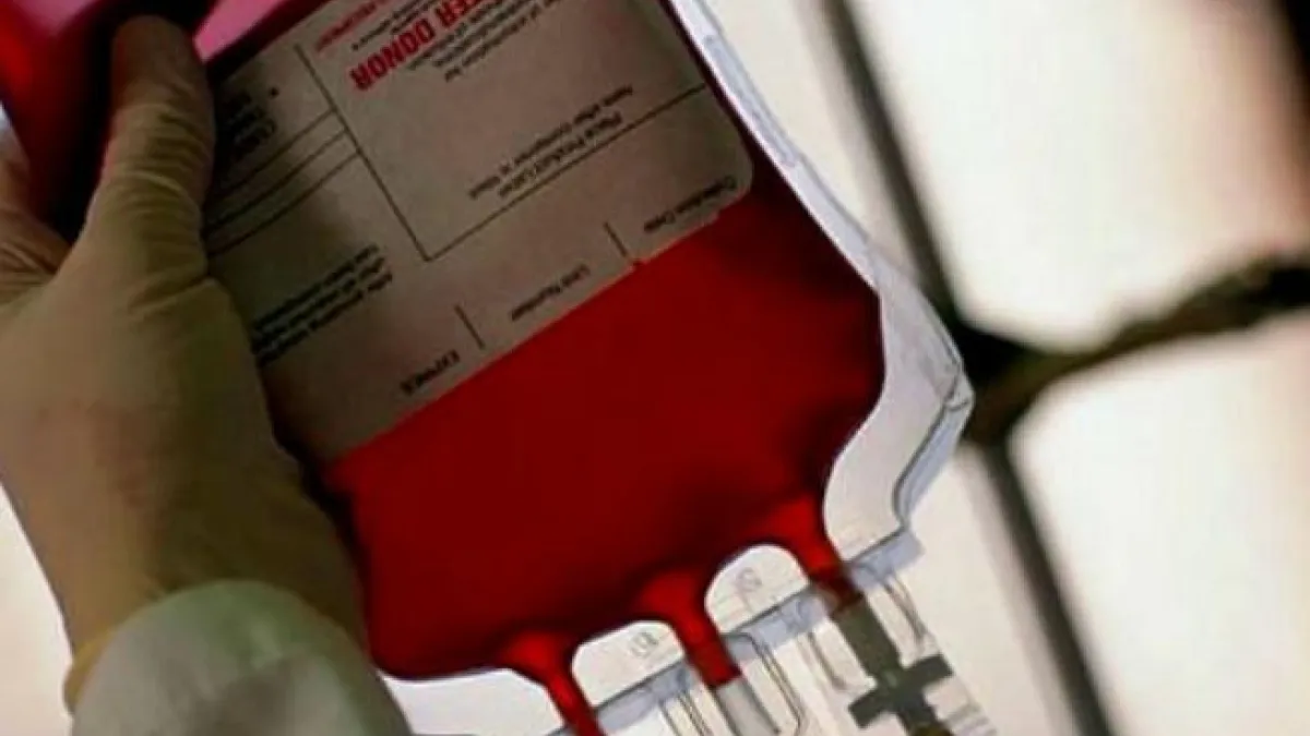 Donate blood instead! Some Shia leaders and groups discourage 
the bloodletting, concerned that it creates a negative, if not backward, image of Shia Muslims. 
These leaders encourage people to donate blood instead.