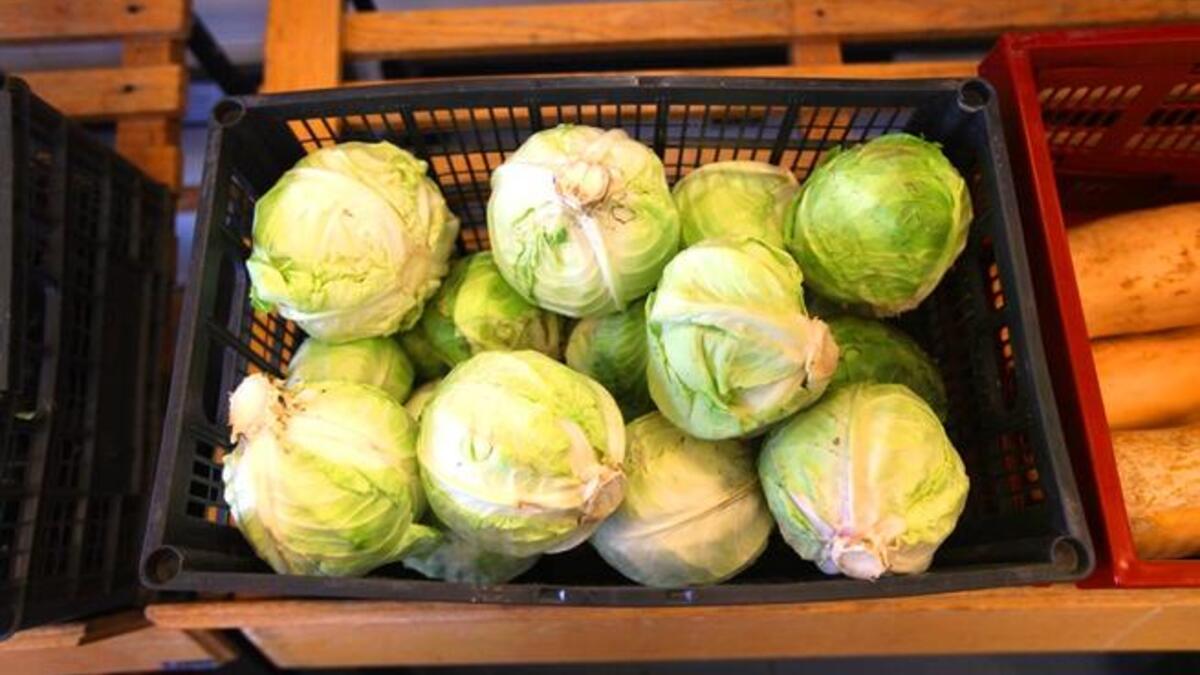 Cabbage—Acceptable. Even this stinky crucifer gets an OK seal by the Europe-based cleric.