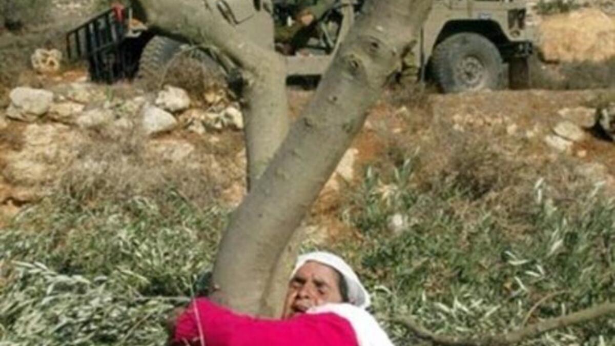 Palestinian lady hugs tree