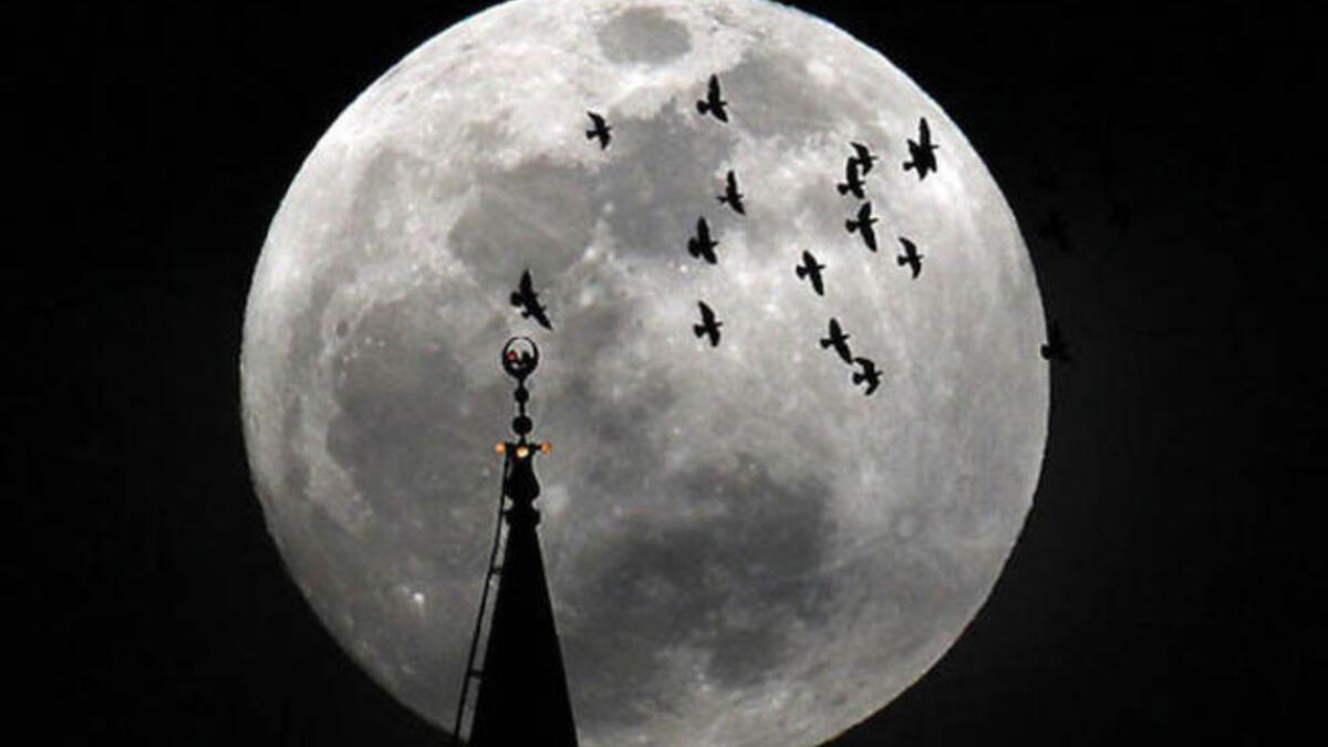 A supermoon appears behind the Minaret of Mohamed Ali Mosque in Islamic Cairo, Egypt.