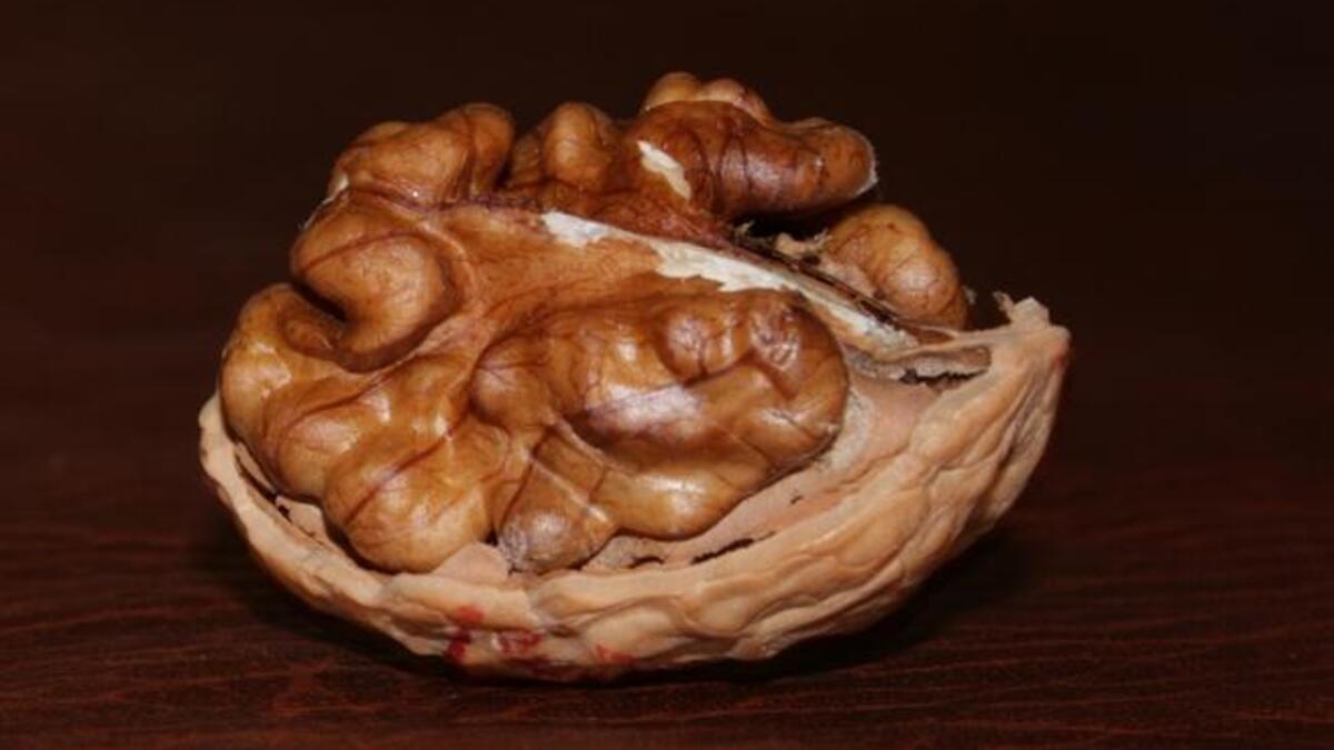 الجوز: من المكسرات الفاخرة التي تستعمل في العديد من المأكولات ويدخل الجوز في صناعة الحلويات ويخلط مع المكسرات والفواكه المجففه وكذلك يستعمل في المكدوس الاكله الشهير في لبنان وسوريا، و لجوز يسمى كذلك فاكهة المخ .