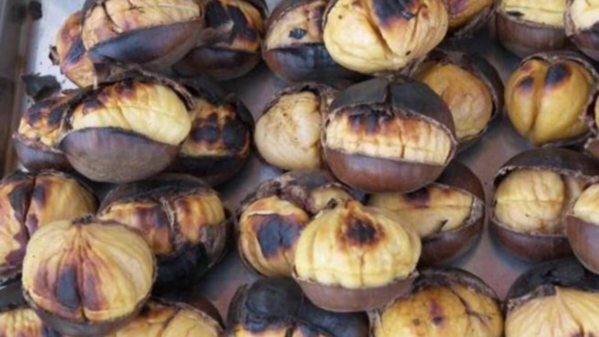 الكستنا أو الكستناء: ﻻ تتوافر إﻻ بفصل الشتاء، ويتم شواءها وأكلها مباشرة، تمد جسم الإنسان بالحرارة وتشعره بالدفء، وقد ارتبطت الكستنا بفصل الشتاء، فهناك العديد من العائلات التي ﻻ يمر فصل الشتاء عليها دون الكستنا.