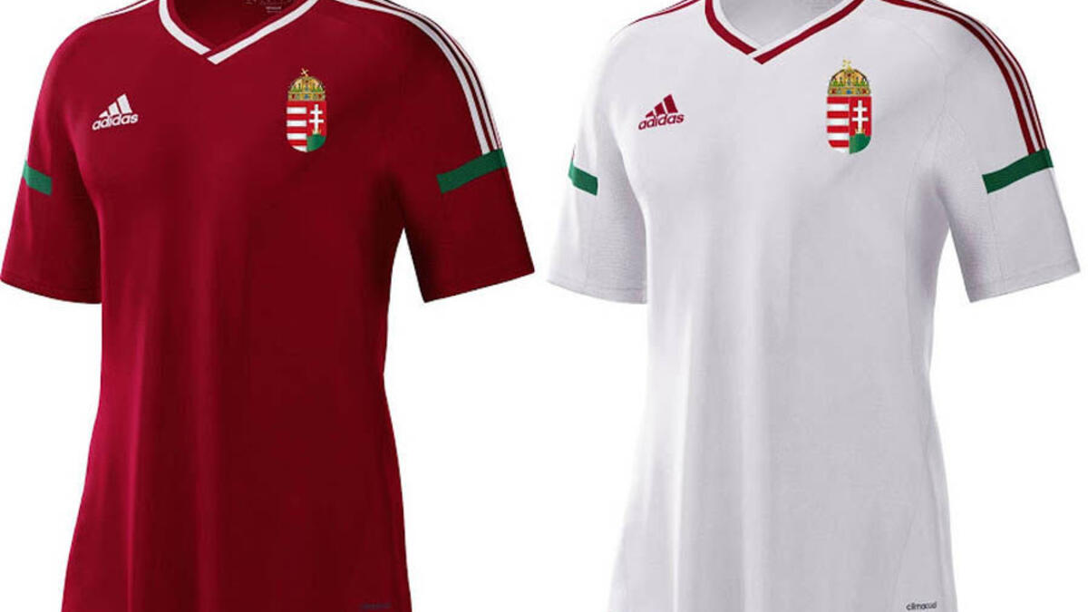 المجموعة السادسة: منتخب هنغاريا