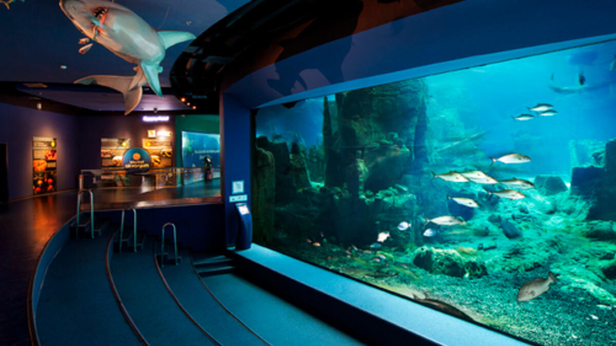 Istanbul Aquarium. (istanbulakvaryum.com)