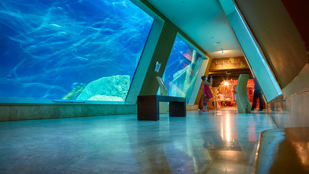 The interior of Istanbul Sea Life Aquarium TurkuaZoo. (Shutterstock/ File Photo)