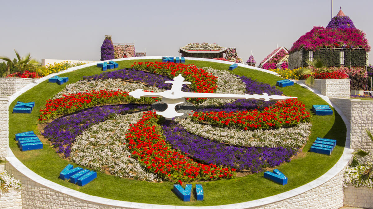 Bright floral clock in the Miracle Garden in Dubai. (Shutterstock/ File Photo)