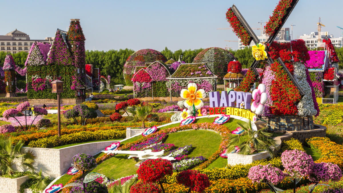 Dubai miracle garden contains more than 45 million flowers, that are combined to form amazing sculptures. (Shutterstock/ File Photo)