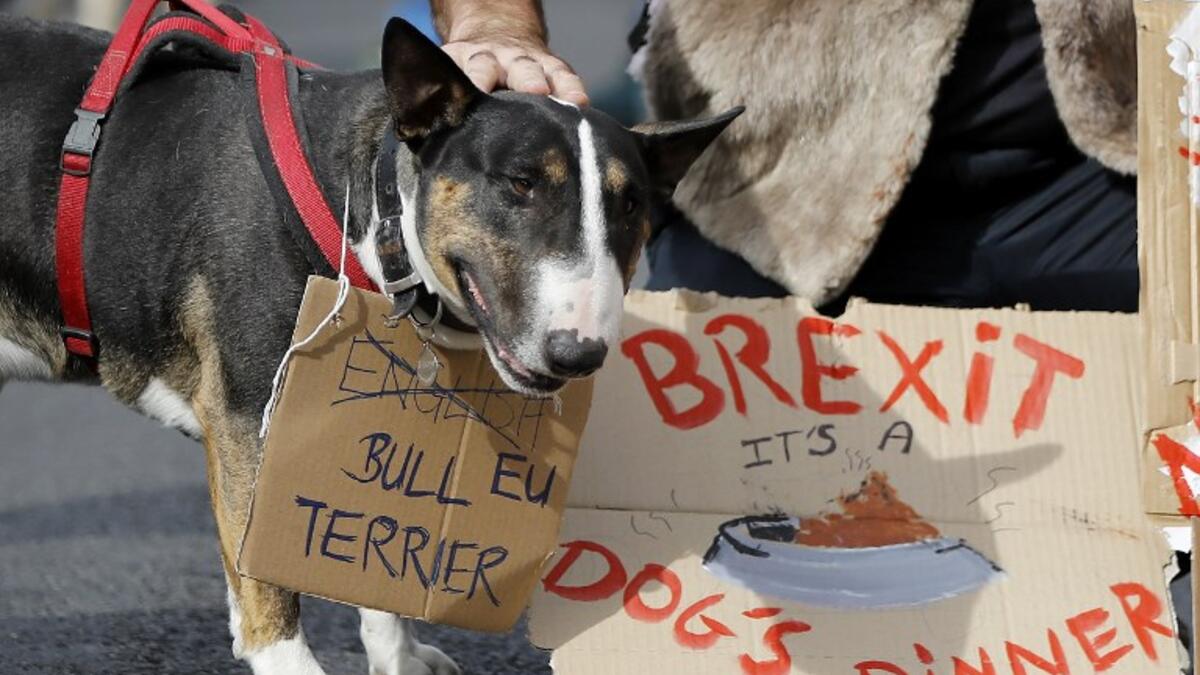 Dog owners and their pets gather before participating in a pro-EU, anti-Brexit march, calling for a "People's Vote on Brexit", in central London. (Tolga AKMEN / AFP)