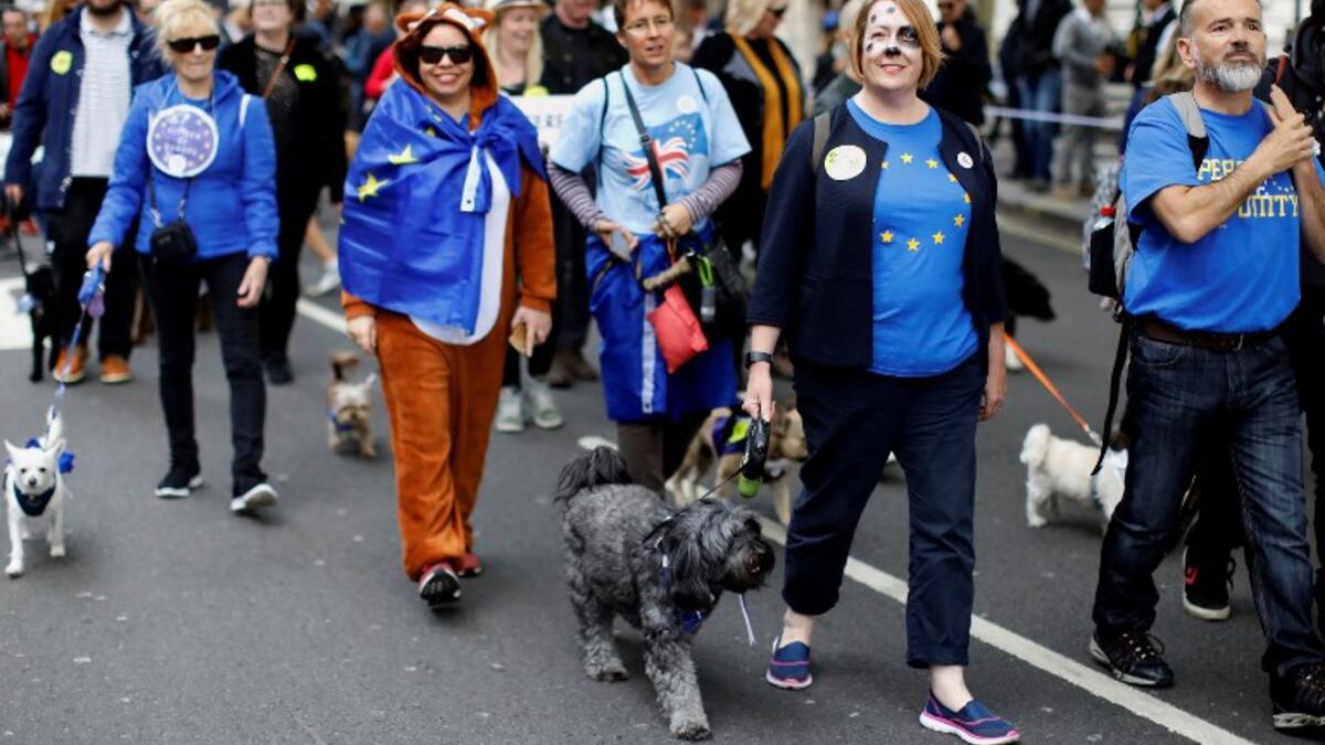 Dog owners and their pets participating in "People's Vote on Brexit", in central London. (Tolga AKMEN / AFP)