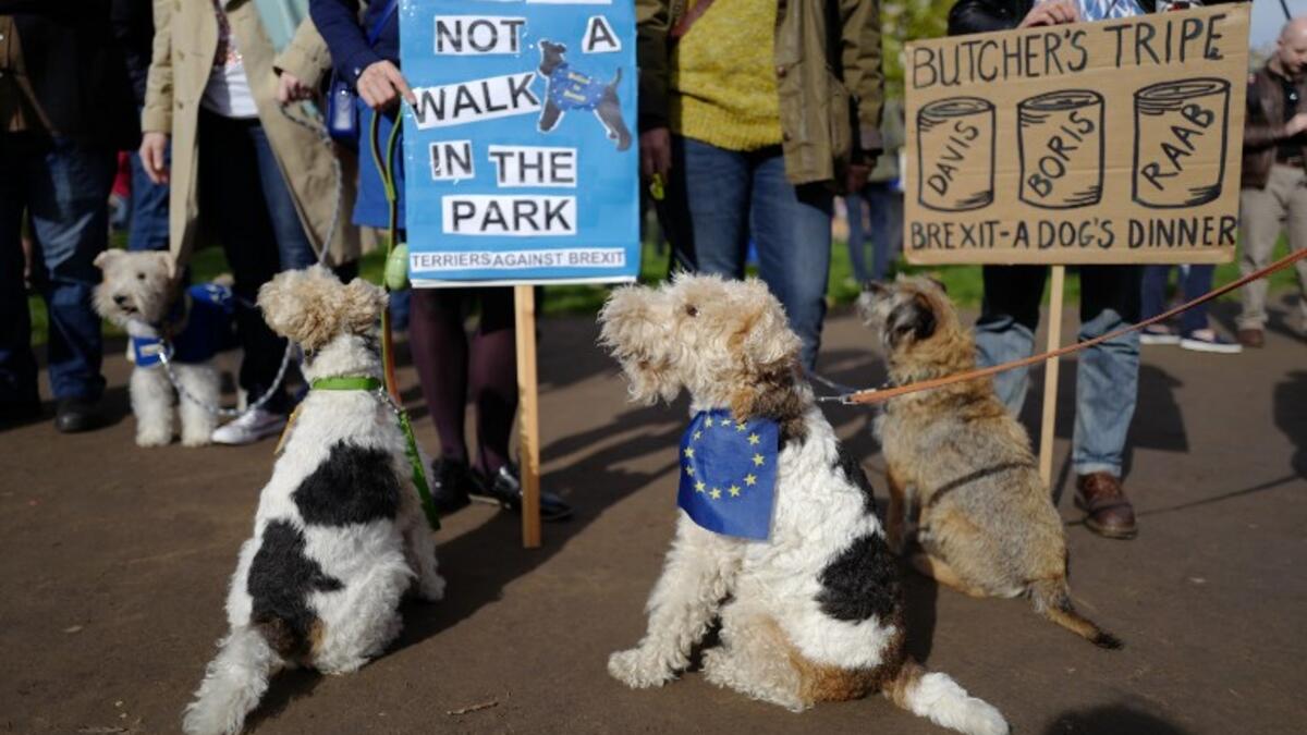 Dog owners and their pets participate in a pro-EU, anti-Brexit march towards the Houses of Parliament, calling for a "People's Vote on Brexit", in central London. (Tolga AKMEN / AFP)