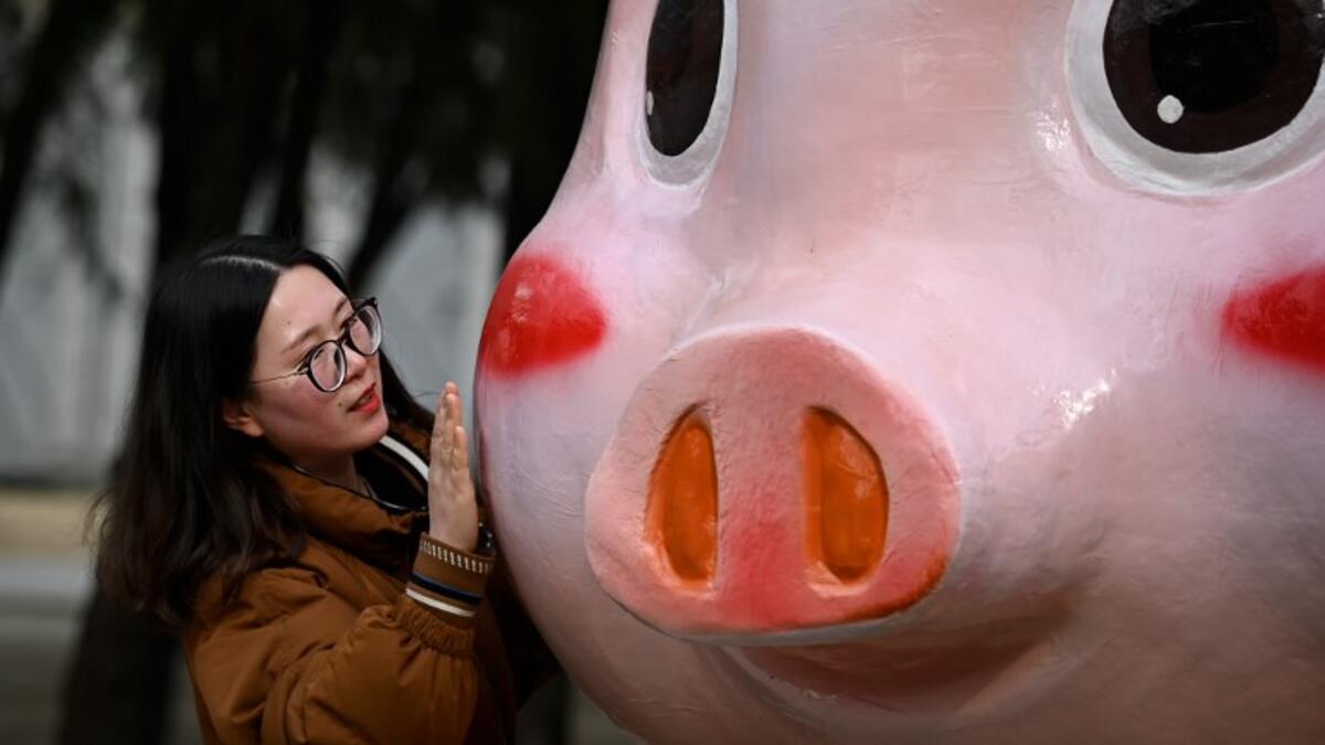 A woman prepares to pose for a photo with a pig figurine at a park ahead of the upcoming Lunar New Year in Beijing on February 2, 2019. 
WANG Zhao / AFP