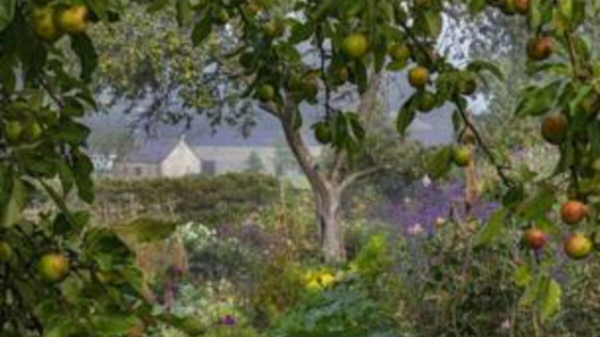 صورة تجمع بين الفاكهة والزهور في مقاطعة ويلز التقطها نايجل ماكول.