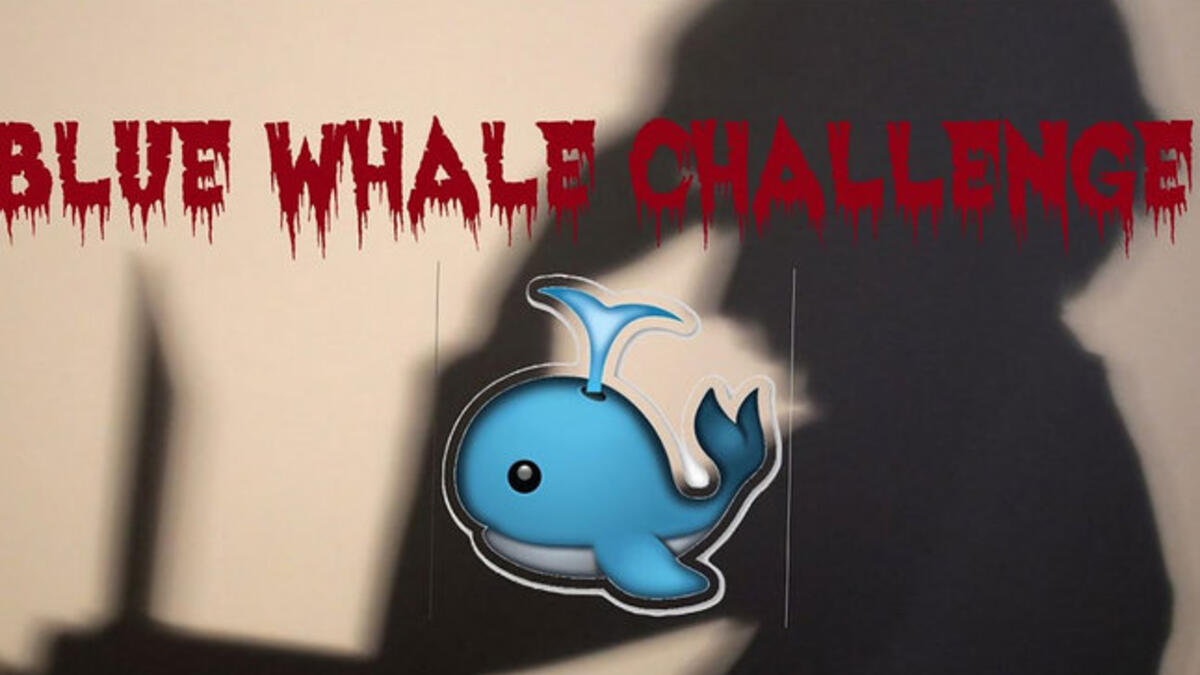 تخبرك لعبة مريم أيضا أنها ليست الحوت الأزرق، وقد جاء ذلك عقب انتشار الكثير من التغريدات تشير إلى أنها تشابه لعبة الحوت الأزرق، يبدو أن مطور لعبة مريم دائما يقوم بإضافة الكثير من الأسئلة الجديدة.