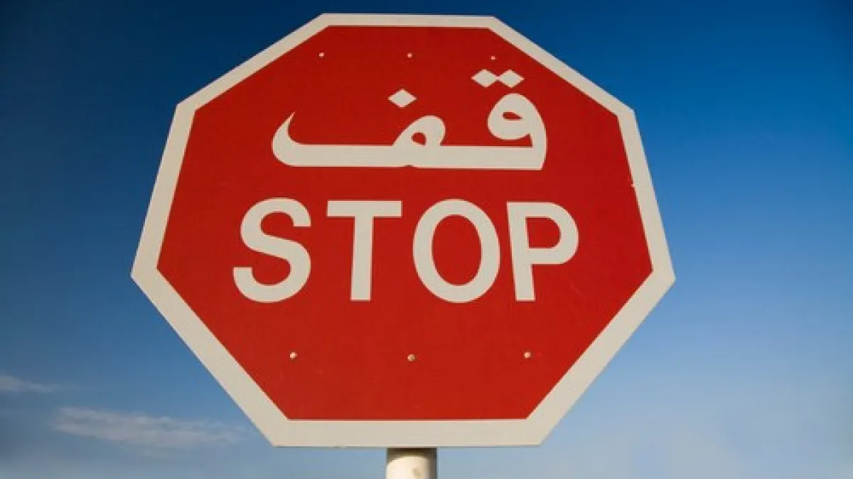 DEARBORN, MICHIGAN: This Midwestern US state has become a go-to place for Arabs seeking a life in America. Most of the immigrants today in southeast Michigan are Iraqis, but migration from all over the MENA region began in the 1930s when Henry Ford established an auto factory in the town, sparking moves to find jobs in the industry. (Twitter)