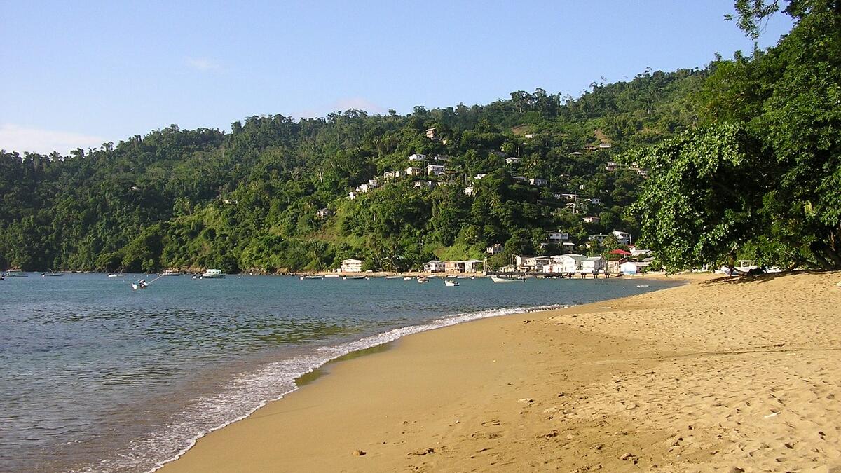 ترينيداد: في بدايات 1900 انتقل اليها المسيحيون السوريين واللبنانيين خوفاً من الاضطهاد الديني ، حيث بدا الاقتصاد والاستقرار السياسي بيئة مثالية للعرب. مع مشاريعهم  الناجحة تمكنوا من إثبات وجودهم في الجزيرة وأصبحوا جزءا لا يتجزأ من ترينيداد وتوباغو.