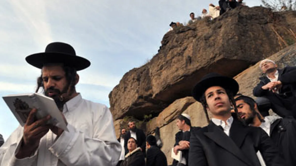 hasidim