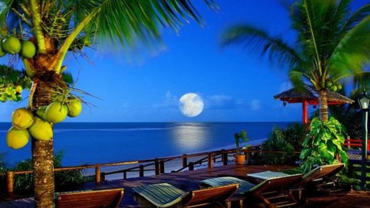 ومن المدن التي نصح الموقع بزيارتها: مدينة بلايا ديل كارمن المكسيكية، جزيرة بالي السياحية في إندونيسيا، مدينة دان إنغ الفيتنامية