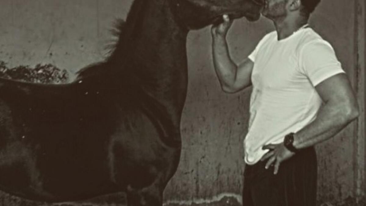 شارك أحمد السقا جمهوره بصورة غريبة مع حصانه وهو يقبله من فمه وعلّق: “رب أخ لك لم تلده أمك ولا أبوك ولا حد من قرايبك سبحان الله” أثارت الصورة ضجة كبيرة بين متابعيه حيث اعتبر البعض أن القبلة مبالغ فيها في حين اعتبر الاكثرية ان الامر طبيعي نظراً لعشقه للخيول.