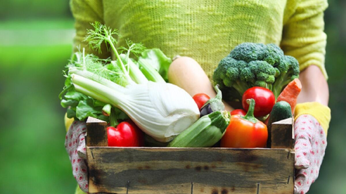 تناول الخضار والسلطات فقط: عدا عن الشعور بالملل فهو أمر غير صحّي، وذلك لتجنب مجموعات غذائية مهمة للجسم كالحبوب الكاملة، مشتقات الحليب قليلة الدسم، اللحوم قليلة الدهون، السمك، الدجاج والبقوليات.