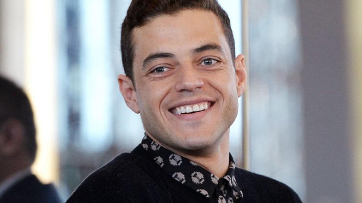 درس مالك التمثيل فى جامعه ايفانسفيل وبدأ مسيرته الفنية في هوليود مثل في العديد من الأعمال بأدوار صغيره قبل اتخاذ دور كبير له لأول مره في فيلم ليلة في المتحف (2006).