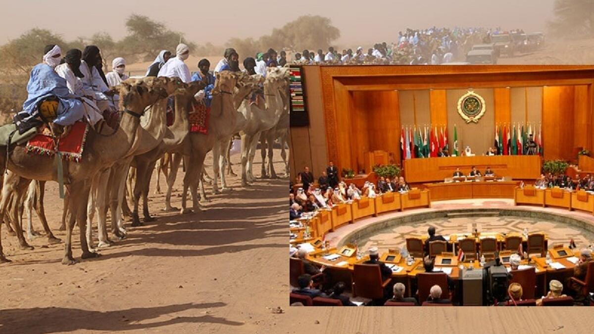 خصَّصت حكومة موريتانيا ألف جمل للمشاركة في عرض استقبال ضيوف القمة، حيث نظم العرض خلال وصول القادة على طول الطريق بين مطار نواكشوط الدولي، ومدخل المدينة الشمالي، وهو ضمن المراسم الفلكلورية والاحتفالية الموريتانية.