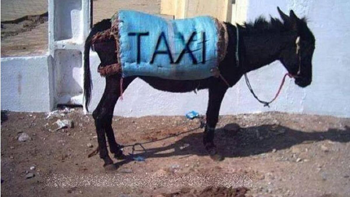 ولأن الحاجة ام الاختراع تنتشر بين فترة وأخرى صور لبعض نهفات واختراعات المصريين المضحكة ومنها تحويل هذا الحمار لتكسي.