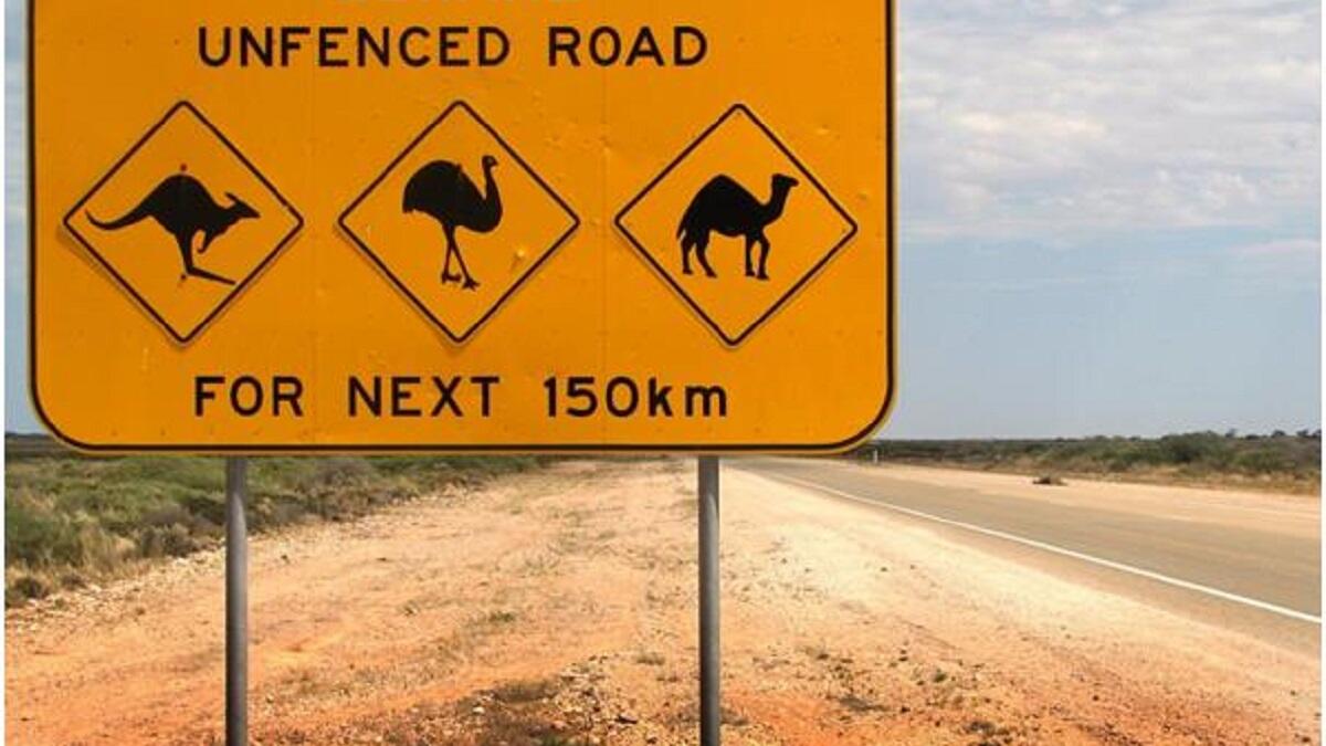 تأتي أستراليا في المركز السابع للسنة الثالثة على التوالي، وقد صنفها مؤشر الرخاء هذا العام بأن لديها أفضل نظام تعليمي في العالم.