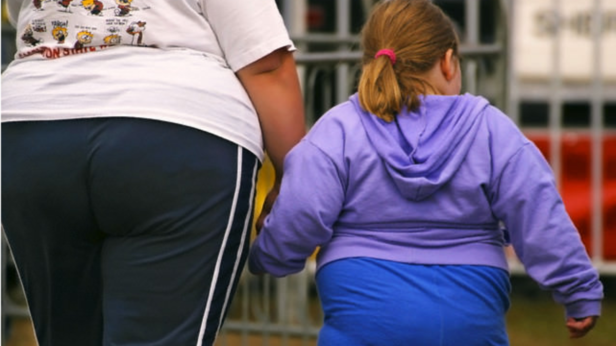 أمريكا: لا تزال تعاني من السمنة خاصة بين صفوف الأطفال حيث بلغت نسبة السمنة فيها.