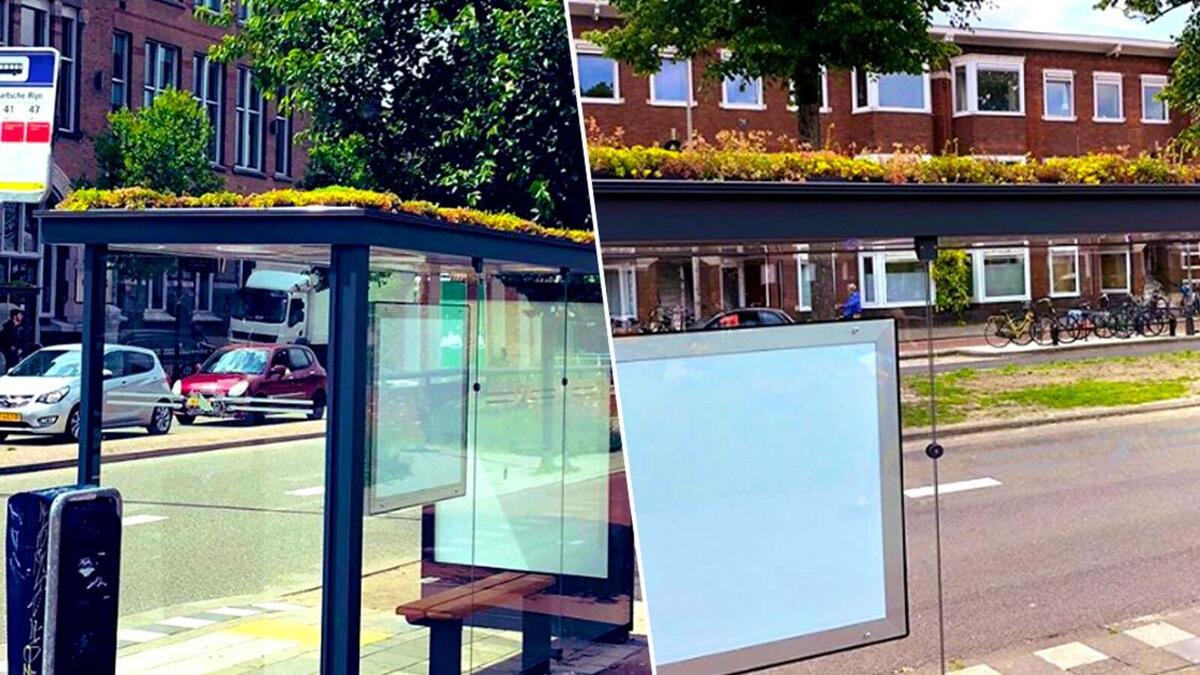 في 2019: حول مجلس مدينة أوترخت الهولندية أكثر من 316 محطة للحافلات إلى خلايا ومساكن للنحل، لتحقيق التوازن البيئي في المناطق الحضرية، ولتكون مثلاً لبقية دول العالم.