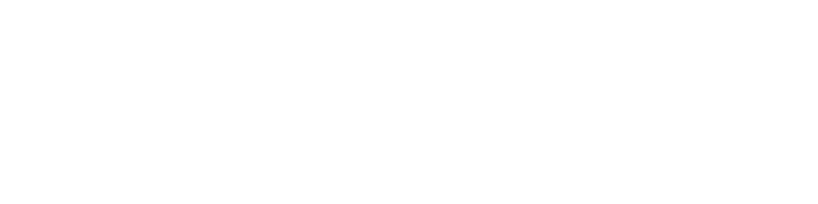DataString Consulting