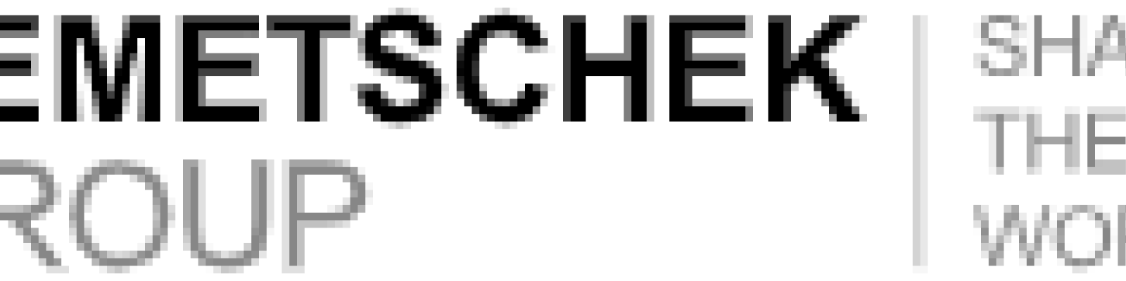 NEMETSCHEK GROUP