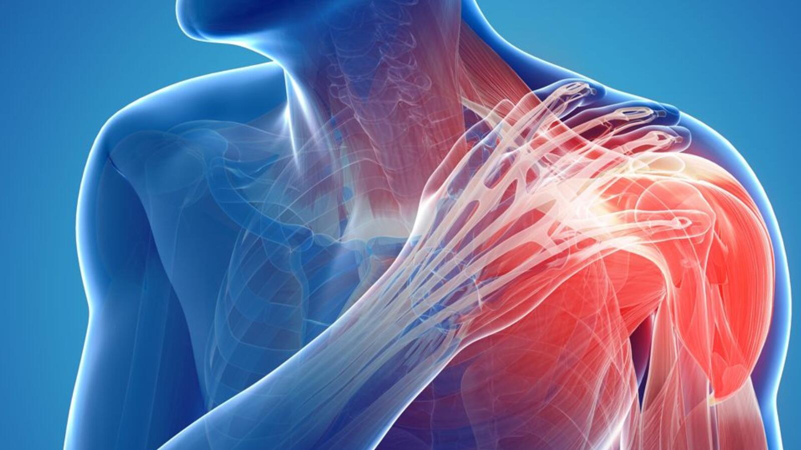 طبيب البوابة: الآم الكتف تعرف على الأسباب الشائعة | البوابة